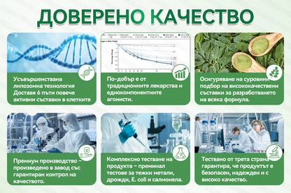 Официален магазин  | 🍀🍀𝐆𝐋𝐎𝑹𝑬𝑵𝑫𝗔® Мoringa · Берберин × NAD+ 10-в-1 Напреднал Нано Микронеделен Пластир (Само веднъж на ден, видими промени за 7 дни) ✅ За затлъстяване, 🅛🅞🅞🅢🅔 🅢🅚🅘🅝, диабет, сънна апнея, проблеми със ставите и още.🎁